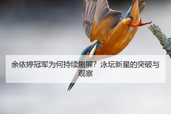 余依婷冠军为何持续刷屏？泳坛新星的突破与观察